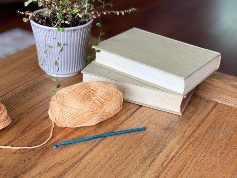Peach colored yarn, blue hook, next to books and plant
